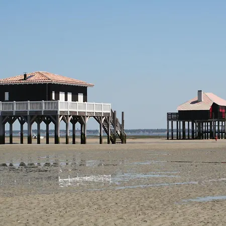 Kedge 6 - Proche Centre, Tram Et Universités