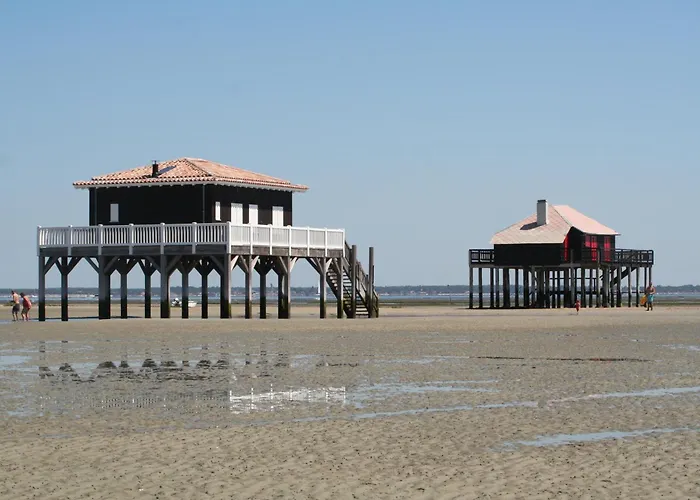 Kedge 6 - Proche Centre, Tram Et Universites